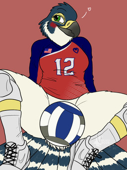 anthro ball blush bottomless bottomless_female clothed clothing convenient_censorship female footwear knee_pads presenting_crotch shoes socks solo sport spread_legs spreading volleyball volleyball_(ball) volleyball_uniform fish_birb katie_(fish_birb) avian bird falcon falconid peregrine_falcon absurd_res hi_res