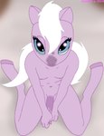 alternate_form anthro anthrofied blue_eyes crossgender femboy flaccid ftm_crossgender fur genitals hooves looking_at_viewer looking_up looking_up_at_viewer male mane navel nipples nude penis purple_body purple_fur solo star_eyes tail unguligrade white_mane white_tail mainnm-e hasbro littlest_pet_shop lps_2744 equid equine horse mammal 2014 artist_name dated