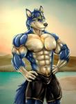 abs anthro biceps bottomwear clothed clothing hair male muscular muscular_anthro muscular_male nipples pants pecs shorts solo standing swimwear topless triceps yellow_eyes bleakcat agonylight canid canine canis mammal wolf digital_media_(artwork) hi_res