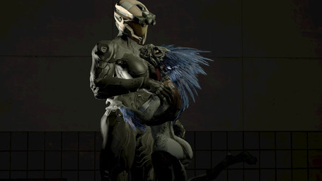 anthro arm_feathers arm_tuft armor avian_caruncle big_breasts blue_body blue_feathers bottomless bottomless_anthro bottomless_female breasts butt clothed clothed_female clothed_human clothing digitigrade duo faceless_character faceless_female faceless_human feather_hair feathered_crest feathers female female/female female_anthro female_human female_on_anthro female_on_human hand_on_hip hand_on_shoulder head_crest human_on_anthro interspecies larger_human pseudo_hair raised_leg short_tail size_difference smaller_anthro tail tuft xenophilia guywhom pickle_juice_(modeler) halo_(series) microsoft xbox_game_studios alien avian human kig-yar mammal scalie spartan_(halo) t'vaoan 16:9 3d_(artwork) colored digital_media_(artwork) hi_res widescreen