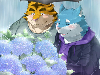 anthro blue_body blue_fur blush clothing duo eyes_closed flower fur hoodie kemono male male/male outside overweight overweight_male pink_nose plant raining shirt topwear tree umbrella white_body white_fur yellow_body yellow_fur nikiciy canid canine canis domestic_dog felid mammal pantherine tiger 2018 4:3