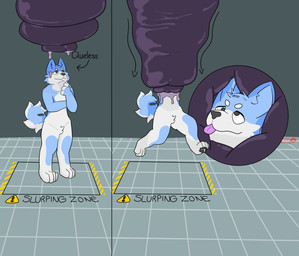 4_fingers 4_toes anthro before_and_after blue_body blue_fur curling_tail cutaway disregarding_notices dripping feet fingers fur head_capture imminent_vore laboratory lifted looking_up male oblivious simple_background slime solo squish tail toes tongue tongue_out vore white_body white_fur onomanu blue_(gooeyblueboye) canid canine canis domestic_dog like_like living_latex mammal shiba_inu spitz absurd_res digital_drawing_(artwork) digital_media_(artwork) hi_res