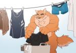 abs anthro biceps big_muscles black_nose blue_eyes boxers_(clothing) brown_body brown_fur chest_tuft clothing countershading duo fur jacket laundry male muscular muscular_male nude pecs shirt simple_background solo standing tan_body tan_fur tank_top topwear triceps tuft underwear takemoto_arashi otake canid canine canis domestic_dog mammal 2017 digital_media_(artwork)