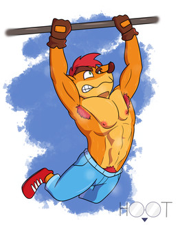 abs anthro armpit_hair athletic bodily_fluids body_hair clothed clothing exercise gloves hair handwear male muscular muscular_male nipples pecs pubes solo sweat teeth topless dg254 activision crash_bandicoot_(series) crash_bandicoot bandicoot mammal marsupial 2021 absurd_res digital_drawing_(artwork) digital_media_(artwork) hi_res