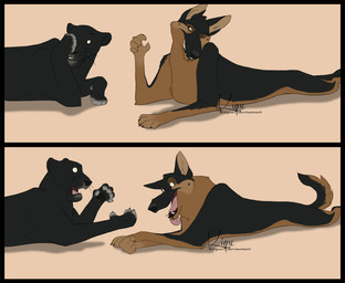black_body black_border black_eyebrows black_fur black_nose black_pawpads border duo eyebrows feet feral fur inner_ear_fluff lying male melanistic multicolored_body multicolored_fur on_front open_mouth pawpads pink_tongue simple_background tan_background tan_inner_ear_fluff toes tongue tongue_out tuft whiskers enriquecer canid canine canis domestic_dog felid german_shepherd herding_dog leopard mammal pantherine pastoral_dog