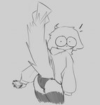 anthro bent_over bulge butt caught_in_the_act cheek_tuft clothing facial_tuft femboy fluffy fluffy_tail hoodie legwear long_sleeves looking_at_viewer male neck_tuft panties pawpads shocked sleeves_past_fingers solo tail taking_picture thigh_highs topwear tuft underwear gneffbutter spip_(gneffbutter) arthropod crustacean domestic_cat felid feline felis mammal marine shrimp monochrome sketch