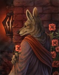 alectorfencer ambiguous_gender amon_(rukis) anthro black_nose brick_wall canid canine canis claws clothing collar comic cover_art detailed_background ear_piercing ear_ring english_text finger_claws flower fur holding_flower holding_object jackal lamp lantern looking_at_viewer mammal metal_collar multicolored_clothing piercing plant red_clothing red_lantern ring_piercing robe rukis solo tan_body tan_fur text wall_(structure) warm_colors yellow_eyes