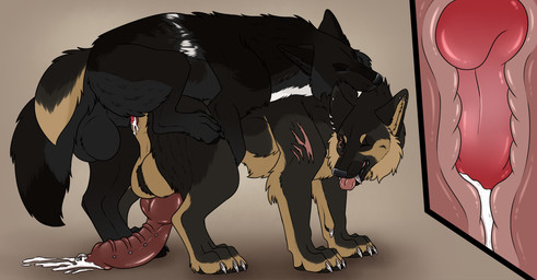 anal anal_penetration animal_genitalia animal_penis balls bite black_body black_fur bodily_fluids canine_genitalia canine_penis cum cum_in_ass cum_inside cum_on_ground cutaway duo ear_piercing ear_ring eyes_closed feral feral_on_feral feral_penetrated feral_penetrating feral_penetrating_feral frenum_ladder frenum_piercing from_behind_position fur genital_fluids genital_piercing genitals grey_balls grey_body grey_fur grey_sheath industrial_piercing knot knotting ladder_piercing male male/male male_penetrated male_penetrating male_penetrating_male neck_bite open_mouth penetration penile penile_penetration penis penis_in_ass penis_piercing piercing prince_albert_piercing red_penis red_tongue ring_piercing sex sheath tan_balls tan_body tan_fur tongue tongue_out killthe_demon beau_(williamca) canid canine mammal hi_res