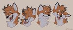 ambiguous_gender black_nose brown_body brown_fur fur hair open_mouth orange_eyes smile solo teeth tongue tongue_out white_body white_fur kitchiki canid canine fox mammal 2021 digital_media_(artwork) expression_sheet