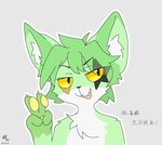 adolescent ambiguous_gender anthro birthday fur green_body green_fur green_hair hair happy_birthday simple_background simple_coloring solo ximao yellow_eyes young young_ambiguous young_anthro maplefox domestic_cat felid feline felis mammal absurd_res hi_res