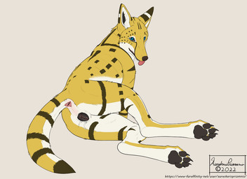 anatomically_correct anatomically_correct_anus anatomically_correct_genitalia anatomically_correct_vulva animal_genitalia animal_vulva anus black_inner_ear black_markings black_pawpads black_vulva blep blue_eyes bodily_fluids butt canine_genitalia canine_vulva claws copyright_symbol countershading female feral fur genital_fluids genitals in_heat inner_ear_fluff leaking looking_at_viewer lying markings on_side pawpads paws pink_anus presenting presenting_anus presenting_hindquarters presenting_vulva pussy_juice_leaking quadruped raised_tail simple_background solo spread_legs spreading symbol tail text toe_claws tongue tongue_out tuft vaginal_fluids vulva white_background white_body white_fur white_inner_ear_fluff yellow_body yellow_fur aureskarispriomnis ikoi_(aureskaris) canid canine canis felid feline hybrid jackal mammal serval 2022 dated digital_drawing_(artwork) digital_media_(artwork) english_text signature url