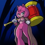 anthro breasts cloak clothing female genitals hammer holding_object holding_weapon looking_at_viewer low-angle_view mostly_nude pink_body presenting pussy solo spoiler thick_thighs tools weapon wide_hips fourssss sega sonic_the_hedgehog_(film) sonic_the_hedgehog_(series) sonic_the_hedgehog_3_(film) amy_rose eulipotyphlan hedgehog mammal hi_res