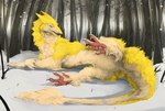 ambiguous_gender feral looking_at_viewer lying on_side outside pawpads plant raised_tail snow solo spread_legs spreading tail tree i-psilone sergal