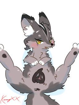 animal_genitalia animal_vulva anus black_ear_tips black_nose blush brown_anus brown_body brown_ears brown_fur brown_inner_ear brown_tail brown_vulva canine_genitalia canine_vulva dipstick_ears ear_markings eyelashes female female_feral feral front_view fur genitals inner_ear_fluff looking_at_viewer markings multicolored_body multicolored_ears multicolored_fur narrowed_eyes paws presenting simple_background solo spread_legs spreading tail teeth tongue tuft two_tone_tail vulva white_background white_body white_ear_tips white_fur white_inner_ear_fluff yellow_eyes conditional_dnp xammyxx emily_(sunface400) canid canine canis mammal wolf 2026 3:4 digital_media_(artwork) english_description hi_res ibispaint_(artwork) signature watermark