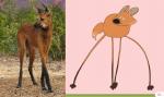 ambiguous_gender brown_body brown_fur cheek_tuft dipstick_tail facial_tuft feral fur happy inner_ear_fluff leg_markings long_legs markings multicolored_tail quadruped real socks_(marking) solo tail tail_markings tan_tail_tip toony tuft walk_cycle walking keke_(artist) canid canine mammal maned_wolf 2d_animation animated frame_by_frame photography_(artwork) short_playtime