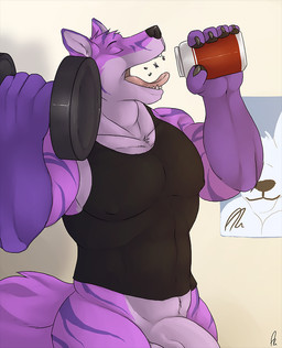 ambiguous_gender ambiguous_human anthro black_clothing black_topwear bottomless clothed clothing exercise eyes_closed fur genitals group human_prey inside macro male male_anthro micro muscular muscular_anthro muscular_male open_mouth oral_vore penis pink_tongue purple_body purple_fur size_difference smaller_human standing striped_arms striped_legs tongue tongue_out topwear vein veiny_penis vore weightlifting workout solaxe_(artist) evert canid canine human mammal signature