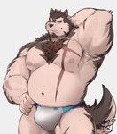 anthro barazoku brown_body brown_fur chest_tuft clothing fur male muscular muscular_arms navel nipples pecs pink_nipples raised_arm scar smile smirk solo tan_body tan_fur thong tuft underwear yellow_eyes bladetiger anothereidos_of_dragon_vein_r billford canid canine canis mammal wolf absurd_res digital_media_(artwork) hi_res