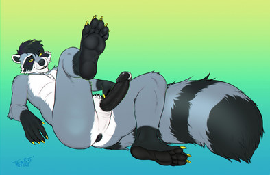 anthro anus athletic athletic_anthro athletic_male black_body black_fur black_hair blush erection eunuch facial_markings fluffy fluffy_tail fur genital_piercing genitals gloves_(marking) grey_body grey_fur hair head_markings humanoid_genitalia humanoid_penis leg_markings looking_at_viewer lying male male_anthro markings mask_(marking) nude nude_anthro nude_male on_back penis penis_piercing piercing presenting prince_albert_piercing pubes raised_leg ring_(marking) ringed_tail simple_background smile socks_(marking) solo striped_markings striped_tail stripes tail tail_markings teeth white_body white_fur homogenousrule reno_(raccoon) mammal procyonid raccoon 2025 hi_res