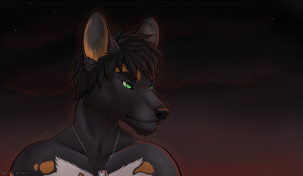 anthro black_body black_hair clothed clothing countershading dog_tags fog gradient_background green_eyes hair jewelry looking_away male metal necklace simple_background solo sunset text topless white_body white_countershading year wyla cashen african_wild_dog canid canine mammal 2012 artist_name bust_portrait dated digital_media_(artwork) portrait shaded soft_shading