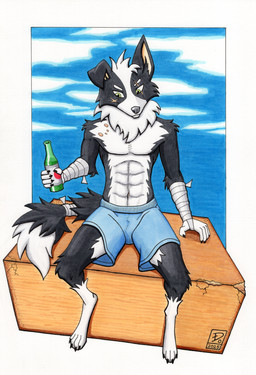 abs alcohol anthro arm_wraps beer beverage bite_mark_on_shoulder bottle bottomwear clothing container digitigrade eye_scar facial_scar male scar shorts solo tail tail_wraps wraps dogwash liam_(dogwash) border_collie canid canine canis collie domestic_dog herding_dog mammal pastoral_dog sheepdog 2025 hi_res marker_(artwork) traditional_media_(artwork)