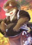 anthro asian_clothing belly clothing east_asian_clothing fur grey_body grey_fur hair japanese_clothing katana kerchief kimono long_hair male melee_weapon musclegut muscular pecs ponytail solo sword weapon inuiookawa lifewonders tokyo_afterschool_summoners shino_(tas) canid canine canis domestic_dog mammal hi_res