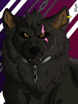 big_nose black_body black_fur brazil chain feral front_view fur male scar serious solo bilgw canid canine canis mammal wolf 3:4 bust_portrait portrait shaded source_request