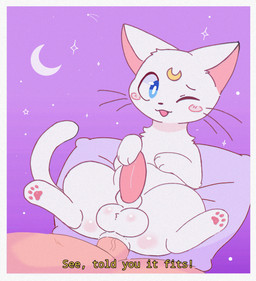 anal anal_penetration balls bestiality feral feral_focus feral_penetrated genitals human_on_feral human_penetrating human_penetrating_feral interspecies lying male male/male male_penetrated male_penetrating male_penetrating_male on_back one_eye_closed penetration sex talking_to_another talking_to_partner fluffydasher sailor_moon_(series) artemis_(sailor_moon) domestic_cat felid feline felis human mammal hi_res