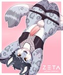 anthro armwear balls black_clothing black_corset black_hair black_nose black_panties black_underwear blush border brown_eyes clothed clothing crotch_tuft erection femboy fishnet_armwear fishnet_clothing fishnet_stockings fluffy fluffy_tail fur genitals glans grey_body grey_fur grey_spots hair hands_behind_head high-angle_view humanoid_genitalia humanoid_penis looking_at_viewer looking_up lying male markings on_back panties panties_down partially_clothed penis perineum pink_background pink_glans pink_penis pupils simple_background skimpy smile solo spots spotted_body spotted_fur tail thick_thighs tuft underwear underwear_down white_balls white_body white_border white_fur white_inner_ear white_penis white_perineum wide_hips zeta-haru novus felid mammal pantherine snow_leopard 2024