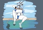 2_horns anthro areola areola_slip big_breasts bikini black_markings blue_bikini blue_clothing blue_hair blue_swimwear breasts camel_toe clothing female hair hooves horn long_hair looking_at_viewer markings multicolored_body nipple_outline partially_submerged solo spread_legs spreading swimwear tail tail_tuft tan_body tuft two-piece_swimsuit water scarlet-frost brooke_mihkla antelope bovid grazing_antelope mammal oryx 2024 hi_res