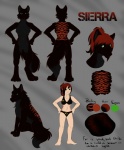 anthro black_body black_fur bra clothing color_swatch female feral fur green_eyes grey_body grey_fur group hair markings panties ponytail red_hair red_markings side_view text underwear runicnature sierra_blakely canid canine canis human mammal wolf 2013 absurd_res digital_media_(artwork) english_text full-length_portrait hi_res model_sheet portrait