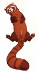 anus balls erection feral genitals lying male on_back penis solo tail valderic_blackstag avatar:_the_last_airbender nickelodeon the_legend_of_korra pabu ailurid fire_ferret mammal