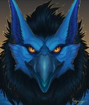 beak blue_body blue_fur blue_hair fur hair looking_at_viewer simple_background solo yellow_eyes rogueliger mythology avian gryphon mythological_avian mythological_creature 2022 digital_media_(artwork) headshot_portrait portrait