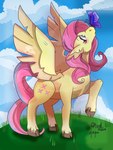 cloud cloudy_sky cloven_hooves detailed_background eyelashes feathered_wings feathers female feral fur grass green_eyes hooves mane outside pink_mane pink_tail plant quadruped sky snout solo tail wings yellow_body yellow_feathers yellow_fur ghostar656 friendship_is_magic hasbro my_little_pony mythology fluttershy_(mlp) arthropod butterfly equid equine horse insect lepidopteran mammal mythological_creature mythological_equine pegasus pony 2024 absurd_res cel_shading dated digital_drawing_(artwork) digital_media_(artwork) hi_res shaded signature