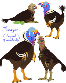 3_fingers 4_toes avian_caruncle beak biped bipedal_feral blue_body blue_skin brown_body brown_eyes brown_feathers brown_scutes brown_skin claws dewlap_(anatomy) duo egg eyelashes feathers featureless_crotch feet female feral finger_claws fingers green_egg grey_beak larger_male looking_at_viewer male markings multicolored_body multicolored_feathers pseudo_clothing red_eyes scuted_hands scuted_legs scutes semi-anthro sexual_dimorphism short_tail side_view simple_background sitting size_difference smaller_female standing tail tail_feathers text toe_claws toes white_background white_body white_feathers white_markings winged_arms wings yellow_scutes dimetrodone the_aviary dinosaur feathered_dinosaur feathered_scalie managian oviraptorid oviraptorosaur prehistoric_species reptile saurischian scalie theropod 2025 4:5 absurd_res digital_media_(artwork) english_text hi_res multiple_images species_name