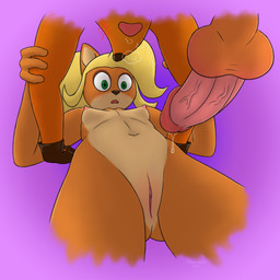 4_fingers anthro anthro_on_anthro areola balls biped blonde_hair blush bodily_fluids body_blush breasts breath clothing countershade_face countershade_torso countershading dripping duo erection eyebrows eyeshadow female female_on_bottom fingers from_front_position fur genital_fluids genitals gloves green_eyes hair handwear holding_arm humanoid_genitalia humanoid_penis humanoid_vulva imminent_sex long_hair looking_at_genitalia looking_at_penis lying makeup male male/female male_on_top missionary_position mostly_offscreen_character multicolored_body multicolored_fur navel nipples nude on_back on_bottom on_top open_mouth orange_body orange_fur panting penis precum precum_drip raised_eyebrow sex simple_background small_breasts solo_focus two_tone_body two_tone_fur vulva vulva_blush worried worried_look dawnlux activision crash_bandicoot_(series) coco_bandicoot crash_bandicoot bandicoot mammal marsupial 1:1 digital_media_(artwork) brother_(lore) brother_and_sister_(lore) incest_(lore) sibling_(lore) sister_(lore)
