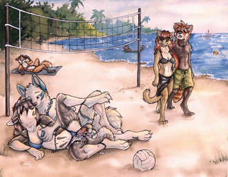 balls beach bikini breast_grab breasts canine cum cum_in_pussy cum_inside erection eyes_closed female from_behind lying male mammal messy nude on_side outside panties panties_aside penetration penis public pussy raised_leg ruaidri seaside sex straight swimsuit underwear vaginal vaginal_penetration
Rating: Explicit
Score: 37
User: ippiki_ookami
Date: March 14, 2014