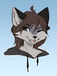 anthro clothing drawstring_topwear flapjack_(jackflapper) fur hoodie looking_at_viewer male one_eye_closed simple_background solo topwear wink winking_at_viewer unknown_artist canid canine canis mammal wolf guide_lines hi_res icon portrait