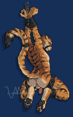 4_toes anthro anus arms_above_head backsack balls bdsm black_body black_collar black_fur black_markings black_pawpads black_stripes bondage bound brown_body brown_fur butt chain circumcised collar dipstick_tail drop_shadow ear_piercing erection feet flaccid fur genitals green_eyes humanoid_genitalia humanoid_penis looking_at_viewer looking_back male markings multicolored_body multicolored_fur multicolored_tail muzzle_(object) muzzled nipples nude pawpads paws penis piercing raised_tail simple_background smile solo striped_body striped_fur stripes submissive submissive_male tail tail_bondage tail_markings tail_tied toes white_body white_fur yellow_sclera kevintheradioguy siezo_(character) felid mammal pantherine tiger 5:8 alpha_channel digital_media_(artwork) hi_res
