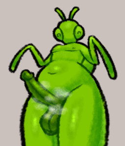 anthro balls erection genitals humanoid_genitalia humanoid_penis male musk penis perspective perspective_shot scrotum_flap solo hhbrother manny_(hhbrother) arthropod insect mantis sketch