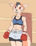 anthro blood bodily_fluids boxing boxing_attire boxing_gloves boxing_shorts clothing female fighting_ring handwear solo sport chamma_retsuden masteroflasagna olletta kangaroo macropod mammal marsupial wallaby hi_res