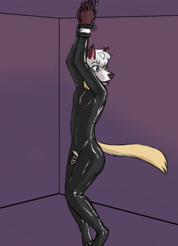 anthro bdsm bondage bound brown_body brown_ears brown_fur chain chained chastity_cage chastity_device clothing cuff_(restraint) fur genitals handcuffs latex latex_clothing latex_skinsuit male metal_cuffs penis red_eyes restraints scared skinsuit small_penis solo submissive submissive_male tight_clothing white_body white_fur yellow_body yellow_fur bazengo gulonine japanese_marten mammal marten mustelid musteline absurd_res hi_res