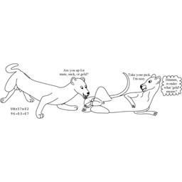 animal_genitalia balls dialogue duo feral genitals imminent_castration lying male male/male nude nude_female nude_male on_side sheath tail teeth text thought_bubble toony urbanhermit mammal murid murine mustelid musteline rat rodent true_musteline weasel 1996 1:1 black_and_white dated english_text monochrome