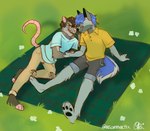 anthro blue_body blue_eyes blue_fur blue_markings bottomwear brown_hair clothed clothing duo eyewear fur glasses grey_body grey_fur grey_markings hair lying male male/male markings on_ground on_side outside pawpads paws picnic polo_shirt romantic romantic_couple shirt shorts sitting smile t-shirt topwear insomniactix american_opossum canid canine canis domestic_dog fox husky hybrid mammal marsupial nordic_sled_dog spitz wolf 2024 guide_lines hi_res shaded trans_(lore) trans_man_(lore)