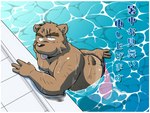 anthro border brown_body brown_fur butt clothing fur humanoid_hands kemono male moobs slightly_chubby solo swimwear text tongue tongue_out water white_border oogamikennta bear mammal 2018 4:3 japanese_text