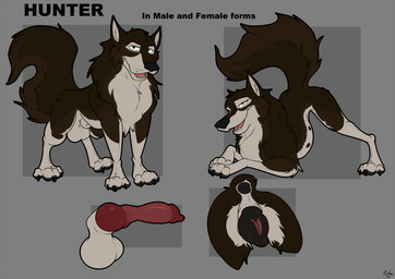 animal_genitalia animal_penis animal_vulva anus ass_up balls canine_genitalia canine_penis canine_vulva erection feet female feral fingers fully_sheathed fur genitals knot knotted_penis looking_at_viewer male multi_nipple nipples open_mouth paws penis sheath simple_background smile solo tail teeth text toes tongue vulva mcfan hunter_(onyx_lupine) canid canine canis mammal wolf digital_media_(artwork) english_text hi_res model_sheet