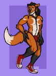 anthro black_body black_fur blush clothing desperation footwear fur green_eyes hair long_hair male muscular muscular_anthro muscular_male nervous nipples omorashi orange_body orange_fur shoes sneakers solo speedo swimwear white_body white_fur shadyhouse canid canine fox mammal absurd_res hi_res