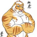 anthro blue_eyes cheek_tuft countershading crossed_arms facial_tuft frown fur inner_ear_fluff looking_at_viewer male muscular muscular_anthro muscular_male pink_nose simple_background solo tan_body tan_fur text tuft white_background christrdo nekojishi studio_klondike lin_hu felid mammal pantherine tiger 1:1 2017 digital_drawing_(artwork) digital_media_(artwork)