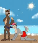 anthro beach butt clothing duo male male/male muscular muscular_male outside parody seaside swimwear mapdark coppertone_(sunscreen) chris_(mapdark) coppertone_girl ted_(mapdark) canid canine canis mammal wolf