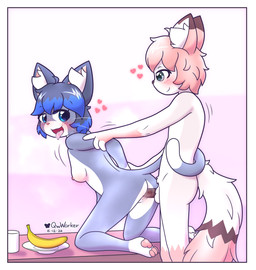 anthro banana blue_hair border container cup doggystyle duo female food from_behind_position fruit furniture genitals hair kneeling looking_at_another male male/female on_table penile_spines penis pink_hair plant plate sex standing table tongue tongue_out white_border workerq quincy_(workerq) felid feline mammal absurd_res hi_res