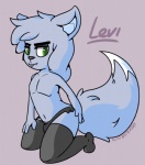 anthro biped chibi clothing femboy green_eyes knee_highs kneeling legwear looking_at_viewer male panties solo stockings thigh_highs underwear wide_hips neonlink levi_(neonlink) canid canine canis domestic_dog mammal